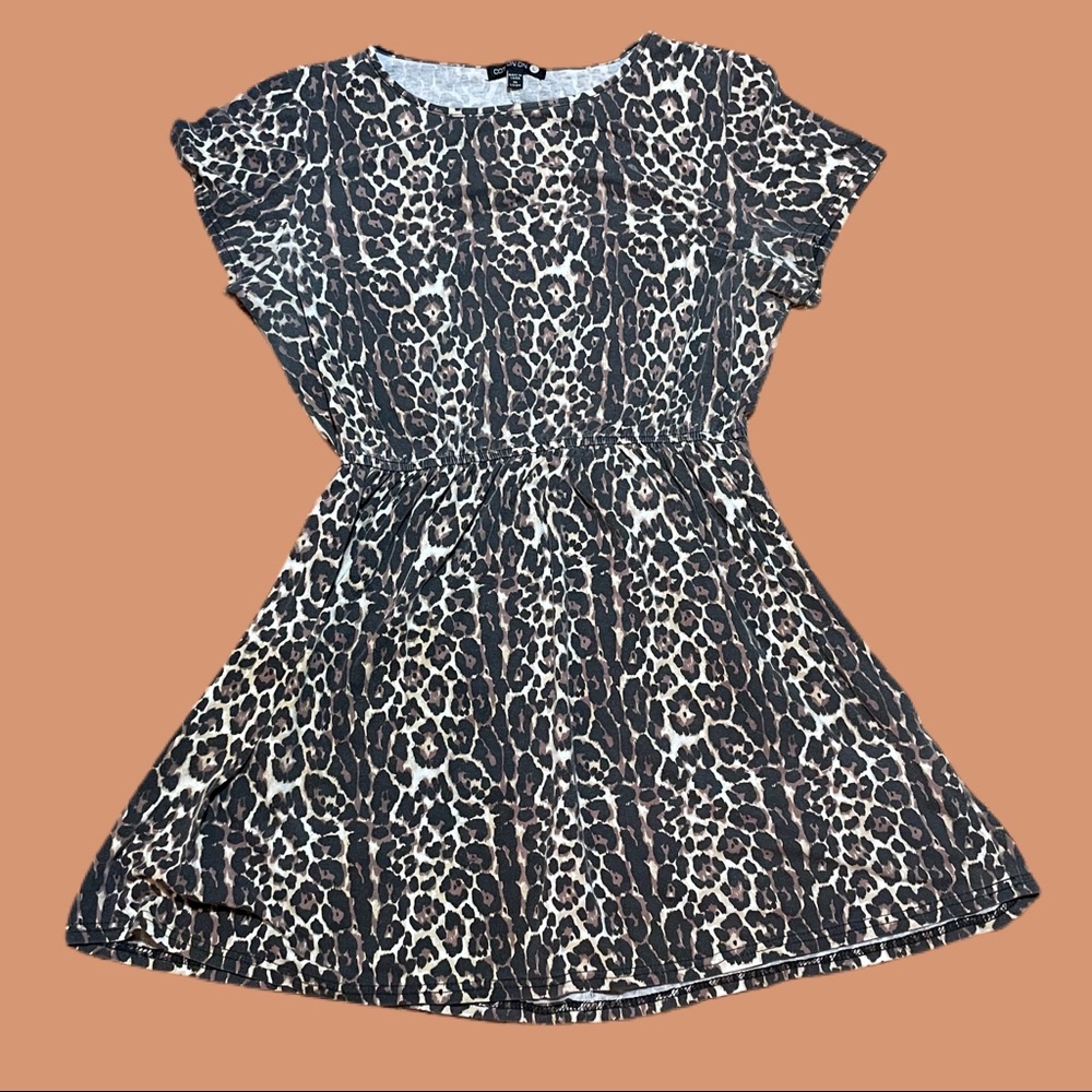 Leopard Print Tunic-Like Skater Dress